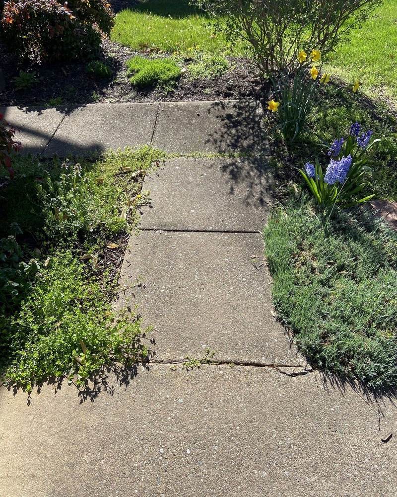 Existing cracked concrete entry walkway before replacement