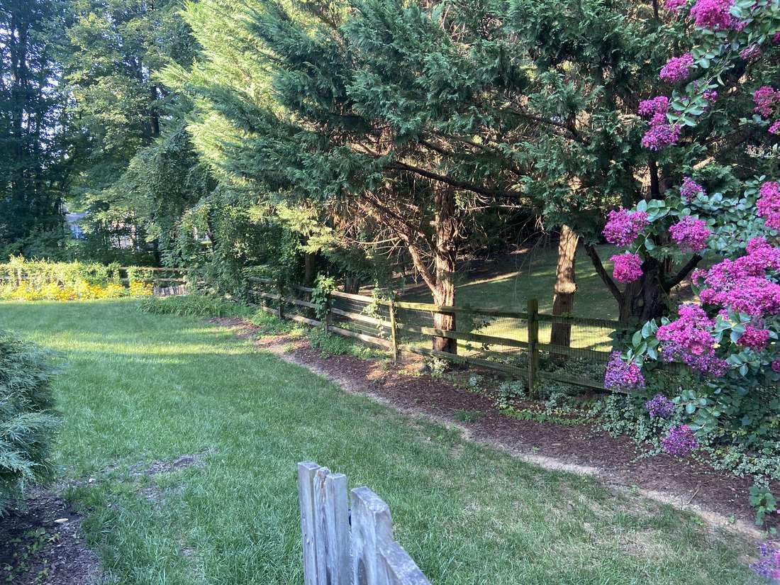 Northern Virginia yard and side-yard conditions evaluated before a drainage route is selected